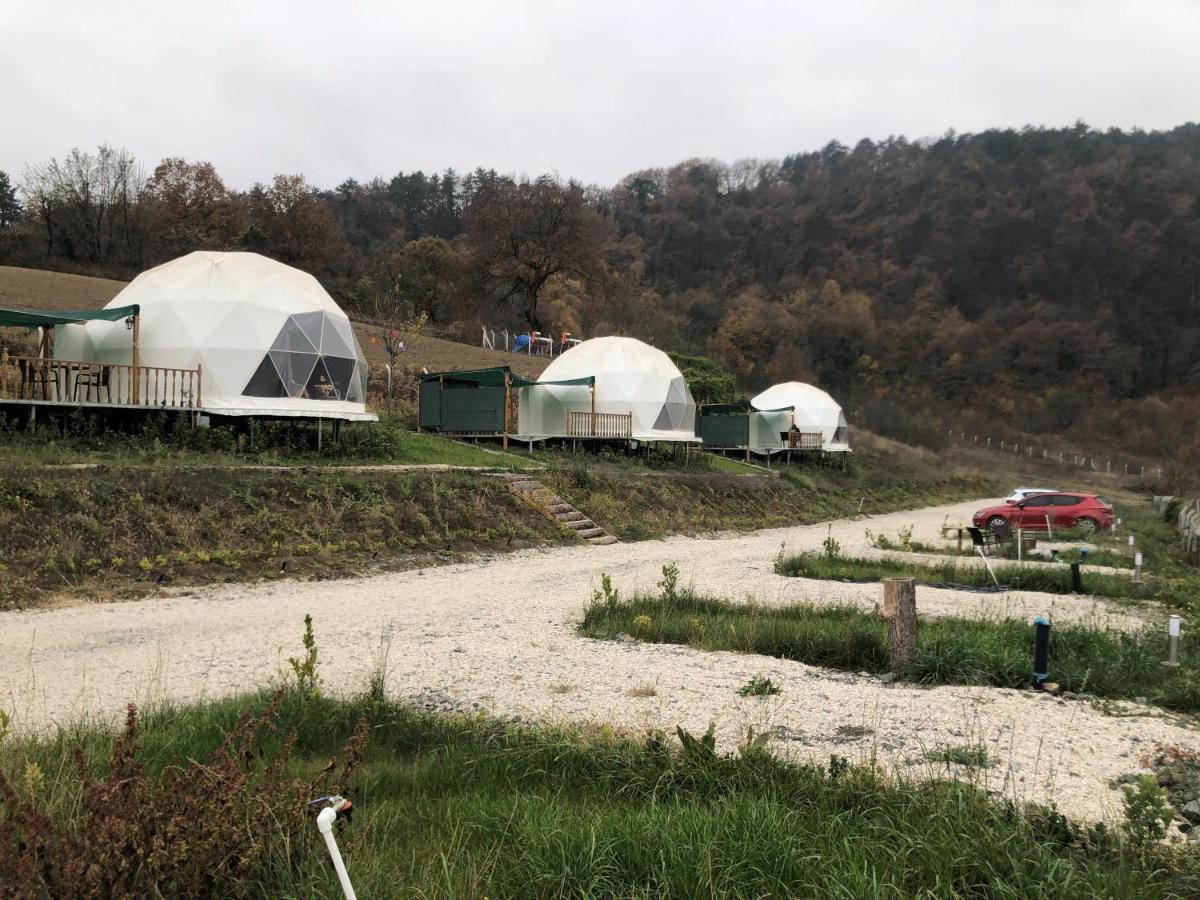 Dengekoru Wildlife & Glamping Hotel Mudurnu Exterior photo