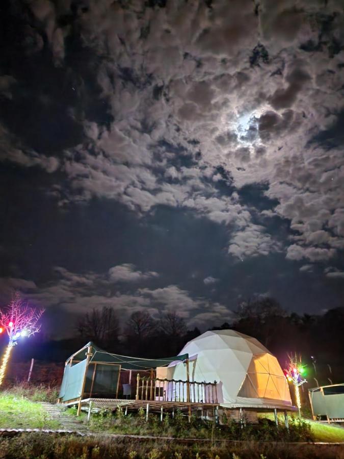 Dengekoru Wildlife & Glamping Hotel Mudurnu Exterior photo